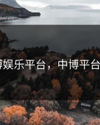 中博娱乐平台，中博平台app