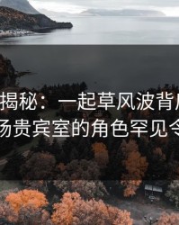 17c深度揭秘：一起草风波背后，神秘人在机场贵宾室的角色罕见令人意外