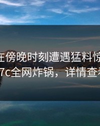 当事人在傍晚时刻遭遇猛料惊艳全场，17c全网炸锅，详情查看