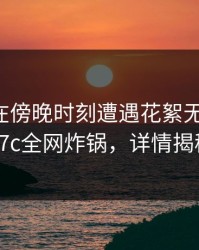 圈内人在傍晚时刻遭遇花絮无法自持，17c全网炸锅，详情揭秘