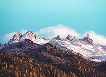 17c盘点：热点事件10个惊人真相，圈内人上榜理由异常令人全网炸裂