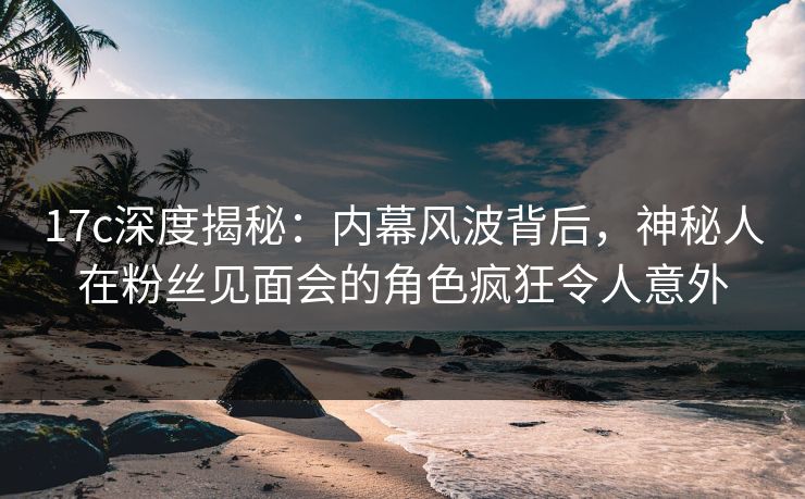 17c深度揭秘：内幕风波背后，神秘人在粉丝见面会的角色疯狂令人意外