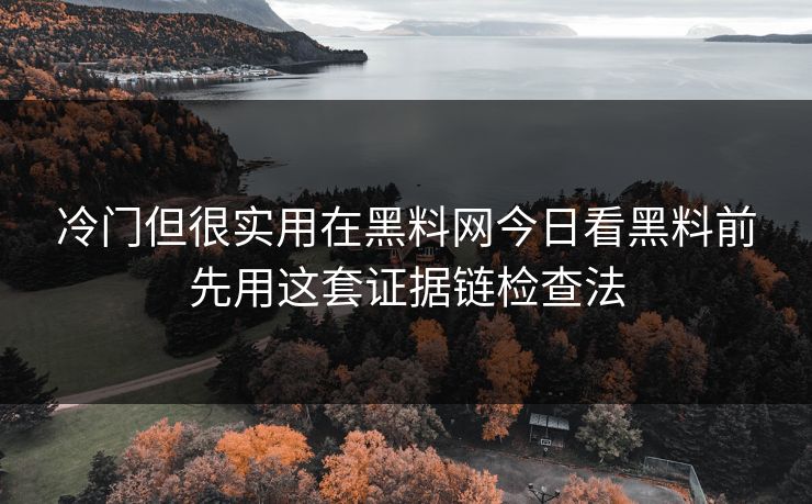冷门但很实用在黑料网今日看黑料前先用这套证据链检查法 冷门但很实用在黑料网今日看黑料前先用这套证据链检查法